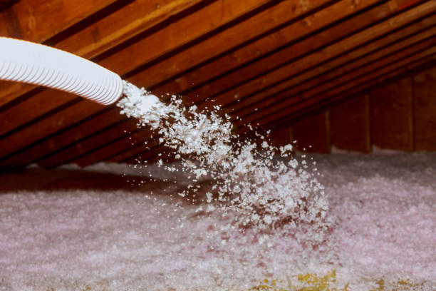 Best Geographic-Specific Insulation Services in Powder Springs, GA