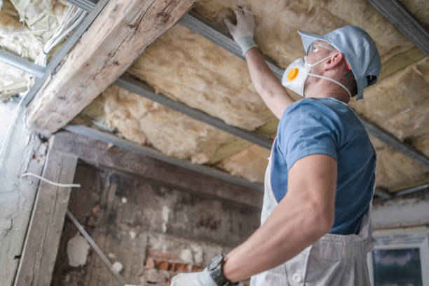 Best Eco-Friendly Insulation in Powder Springs, GA