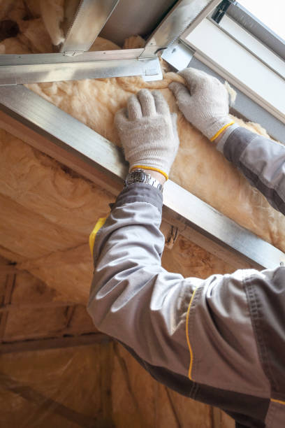 Professional Insulation Contractor in Powder Springs, GA